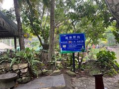 -呀诺达热带雨林