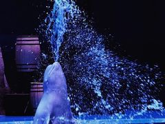 -华夏文旅海洋公园