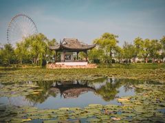 -无锡蠡湖国家湿地公园-蠡园