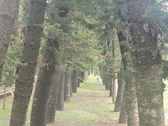 -金山植物公园