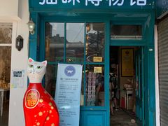 -猫咪博物馆(顶澳仔猫街店)