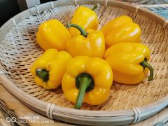 -千稻剁椒大鱼头(CityOn熙地港店)