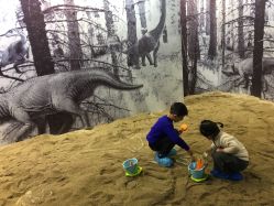 -恐龙探索乐园(磁器口店)