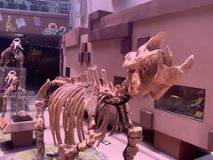 -陕西自然博物馆