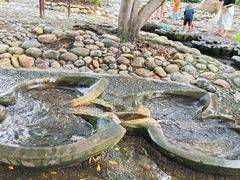 -成都市活水公园