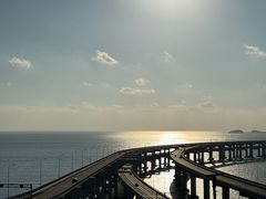-星海湾跨海大桥