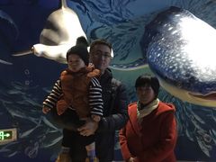 -烟台海昌鲸鲨海洋公园