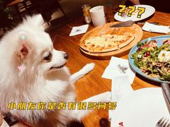-百好乐宠物友好餐厅(朝外大街店)