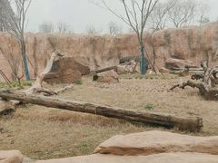 -武汉动物园