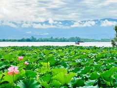 -西昌邛海湿地