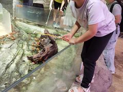 -正佳雨林生态植物园