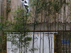 -柴务处·柴犬主题狗咖