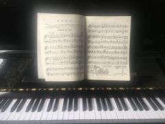 -弘智卉艺术教育/高端琴房(中央音乐学院店)