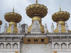 -上海东林寺(金山区)
