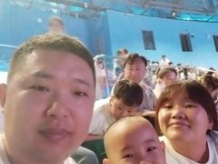 -石家庄极地海洋世界