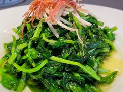 火丝银芽豆苗-江南雅厨(李公堤店)