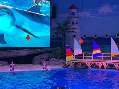-海合安武汉极地海洋公园