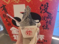 -野人先生现做冰淇淋(北京王府井东方新天地店)
