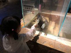 -zoonana室内动物园(东方福来德店)
