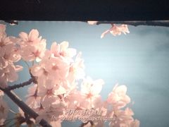 -南宁时代电影大世界(CGS激光中国巨幕)
