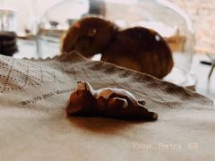 手冲黑森林-VOYAGE COFFEE(北锣鼓巷店)