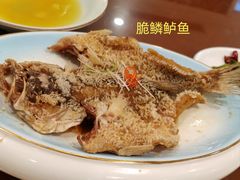 脆鳞鲈鱼-天宝酒店(万达店)
