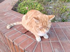 -上海交通大学闵行校区-包玉刚图书馆