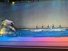 -上海海昌海洋公园