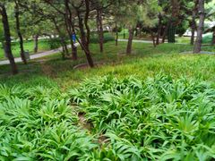 -玲珑塔公园