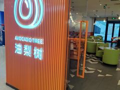 -油梨树 AVOCADO TREE(亮马桥店)