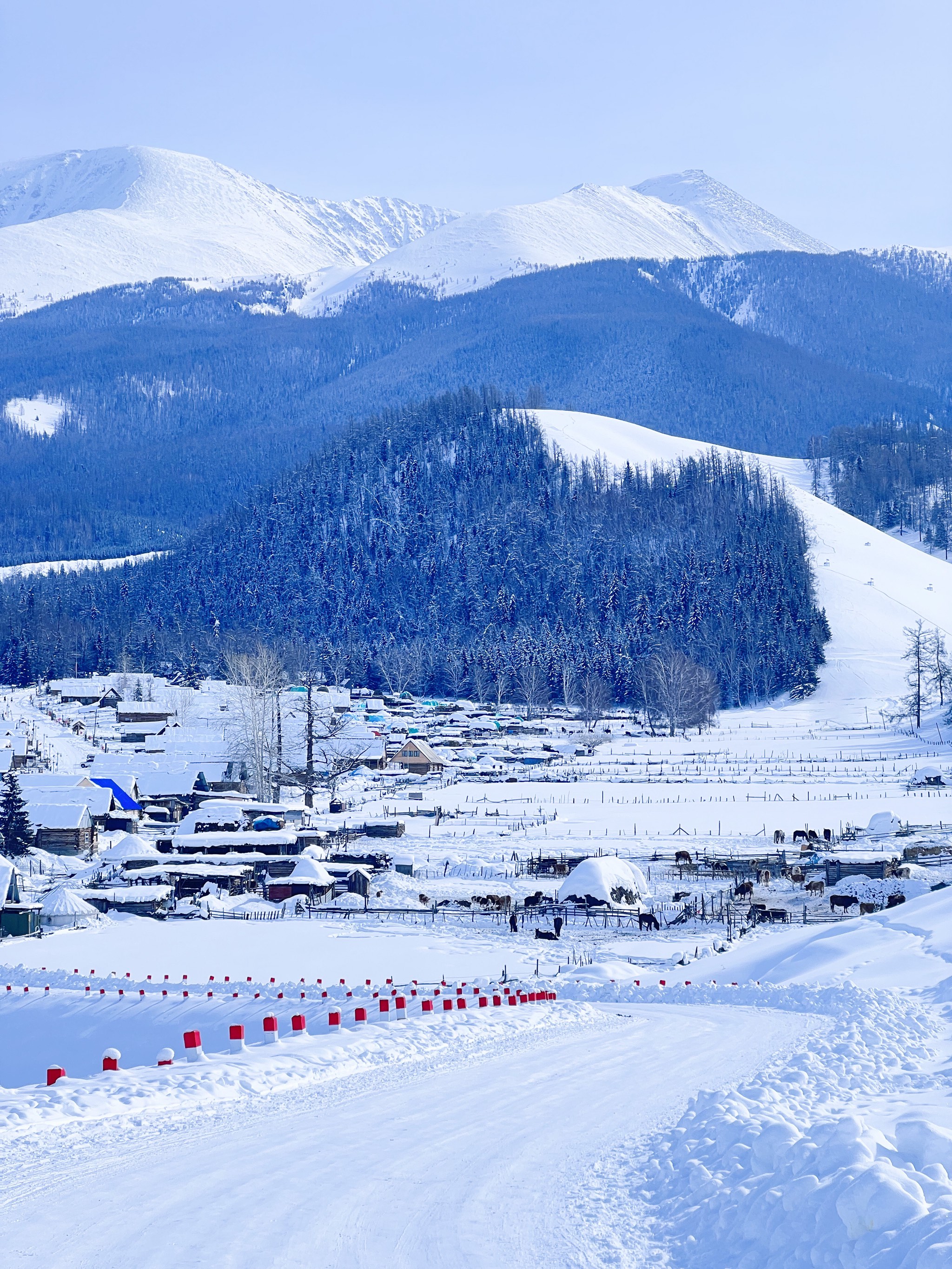 新疆阿勒泰 冬日看雪旅行天花板❄️附攻略