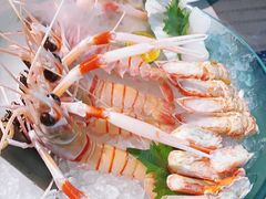 -極上萬膳·日料放题(海岸城店)