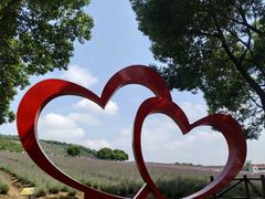 -雪浪山卡丁车俱乐部