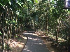 -大屏嶂森林公园