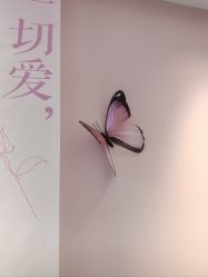 -郑州缔莱美医疗美容医院