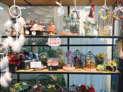 -植物学家的女儿(北马道巷店)