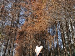 -人民公园(罗湖区)