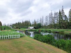 -前小桔亲子创意农场·草莓采摘·露营烧烤