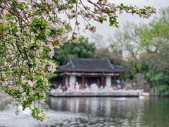 -莫愁湖公园