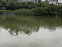 -中国移动南方基地