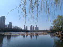 -前关湿地公园