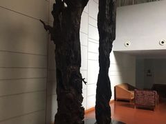 -峨眉山世纪阳光大酒店(峨眉高铁站店)