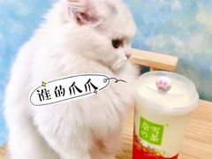 -奈雪的茶(大连新玛特店)