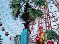 -三亚海昌梦幻海洋不夜城