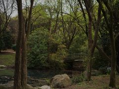 -宝界山林公园