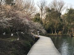 -西溪国家湿地公园