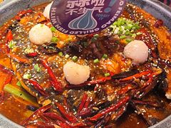 -南锣肥猫·麻辣烤鱼·15年现烤现卖(通州领展店)