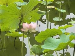 -木塔寺遗址生态公园