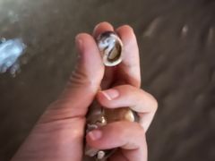 -厦门帝元维多利亚大酒店(环岛路黄厝海滩店)