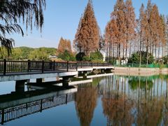-黄兴公园